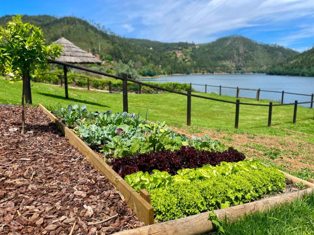Campos River House Figueiro Dos Vinhos Eksteriør bilde
